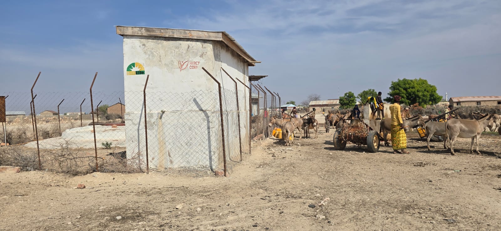 Donkey carts at water point